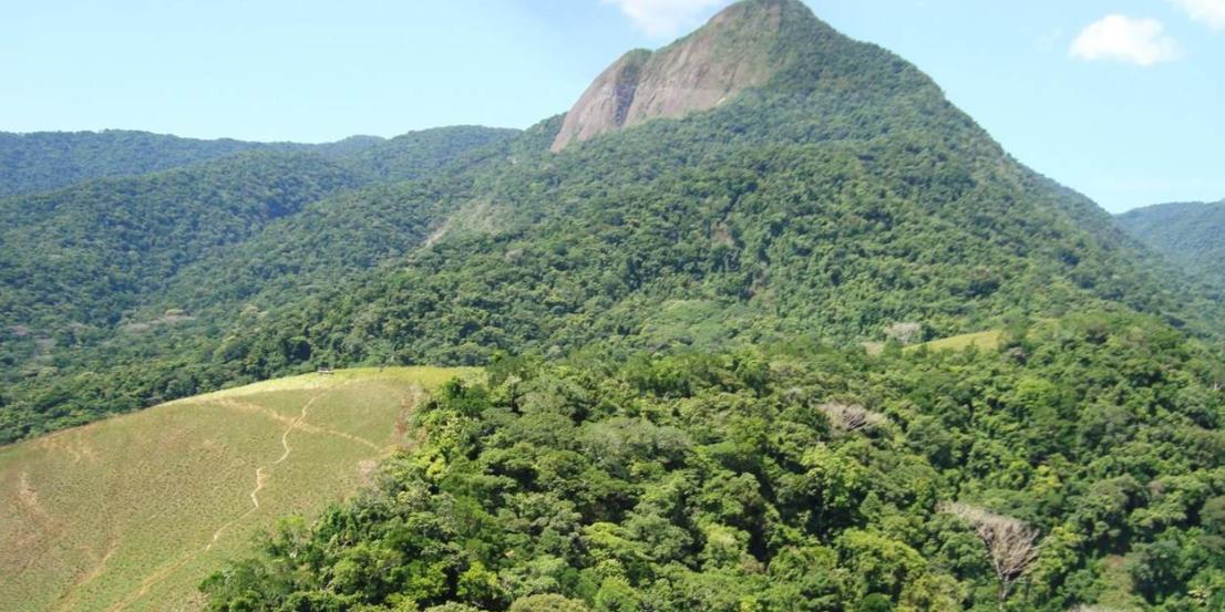Ao longo do trajeto, o visitante pode observar diversas espécies da fauna local, além de desfrutar da experiência de estar rodeado da mais pura Mata Atlântica