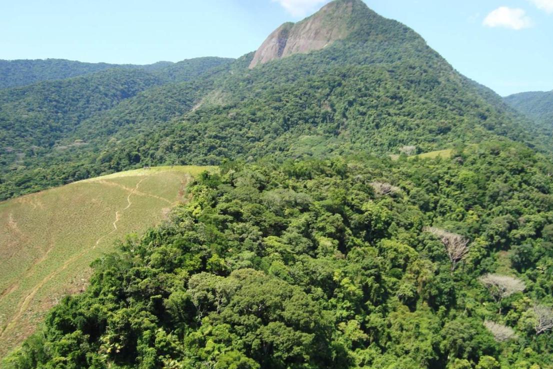 Ao longo do trajeto, o visitante pode observar diversas espécies da fauna local, além de desfrutar da experiência de estar rodeado da mais pura Mata Atlântica