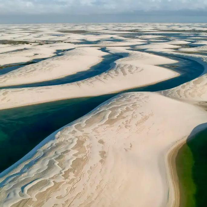 De acordo com o Ministério do Meio Ambiente e Mudança do Clima, o Parque Nacional dos Lençóis abriga quatro espécies ameaçadas de extinção