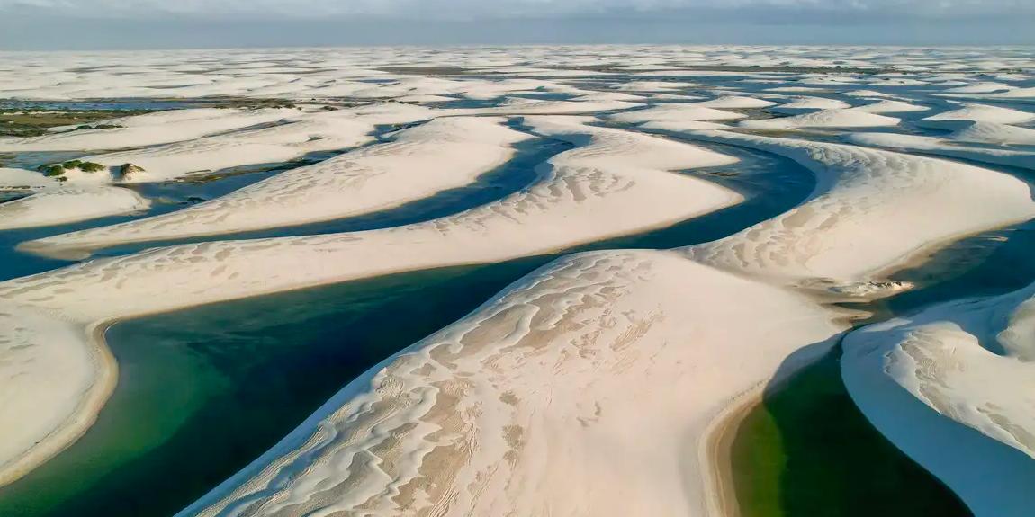 De acordo com o Ministério do Meio Ambiente e Mudança do Clima, o Parque Nacional dos Lençóis abriga quatro espécies ameaçadas de extinção