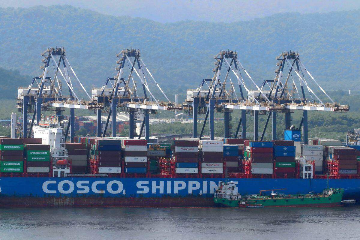 DP World possui terminal na Margem Esquerda do Porto e incentiva presença feminina nas operações