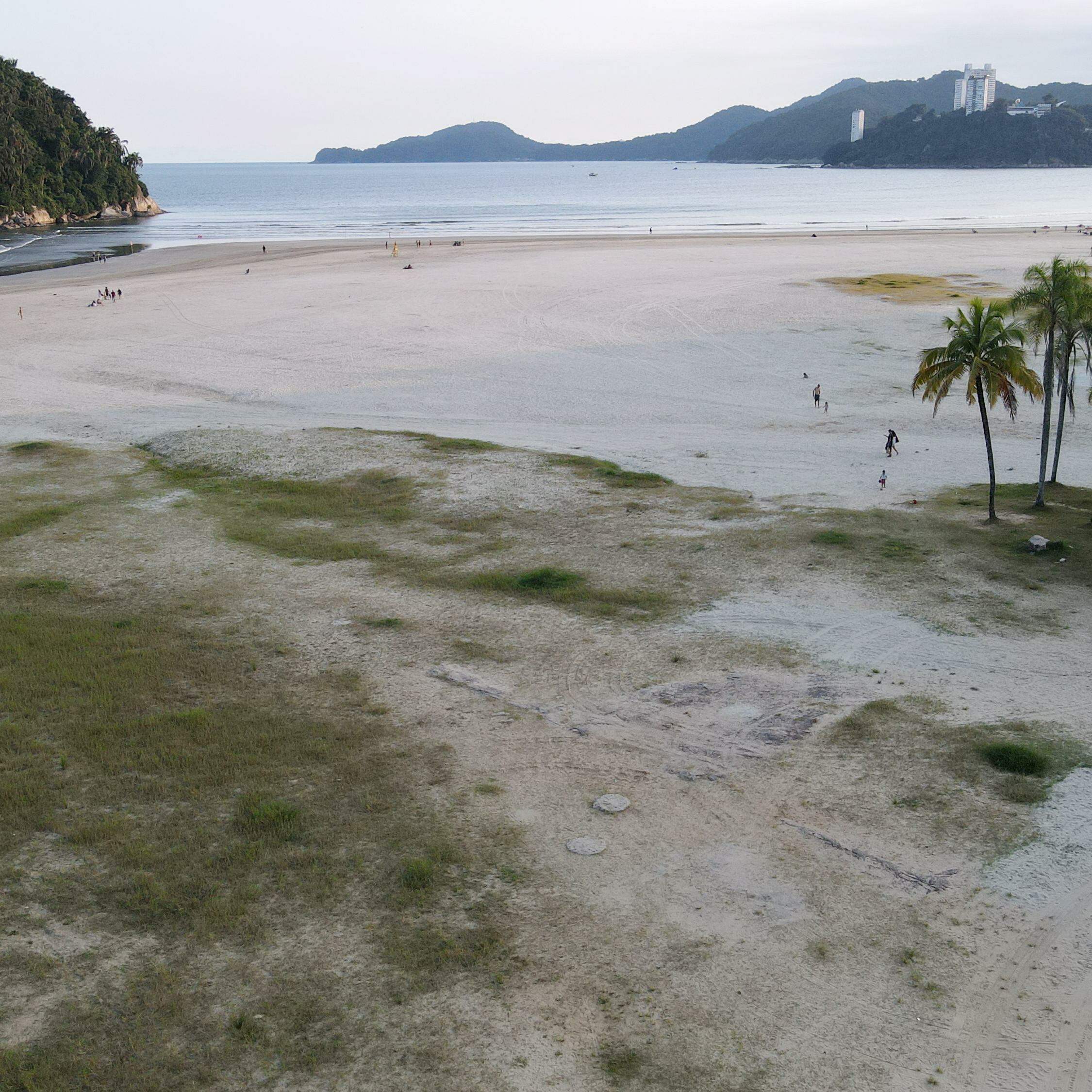 Primeiro espaço de preservação da vegetação de restinga na faixa de areia da praia está sendo preparado