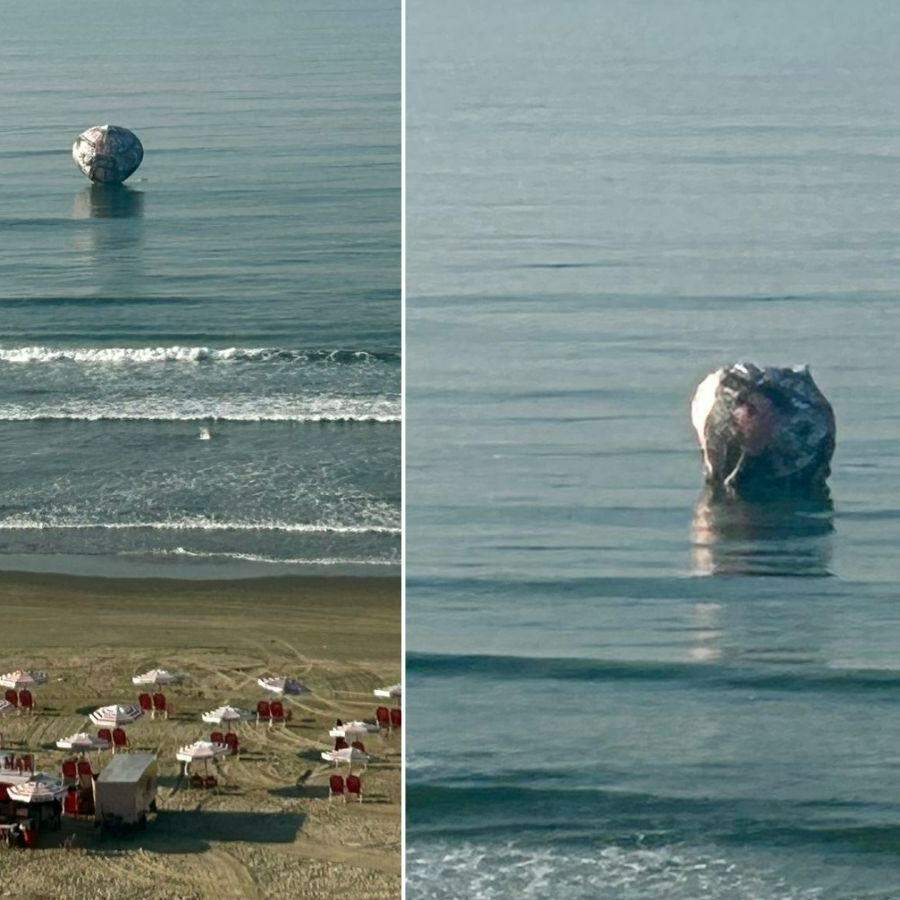 O balão caiu na praia do bairro Aviação, em Praia Grande