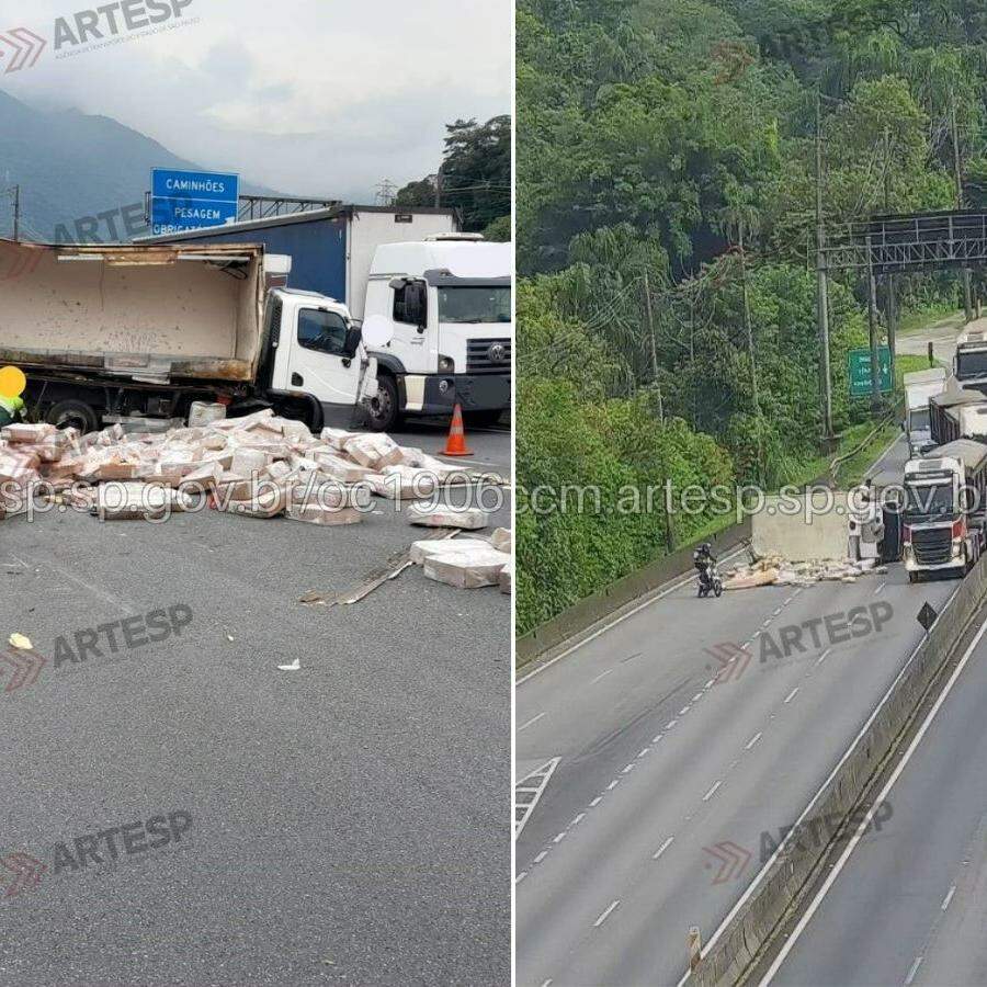 Carga era de 3 toneladas de frango