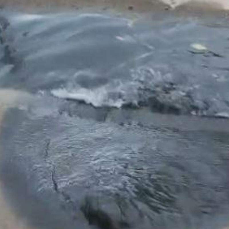 Esgoto na porta de casa causa mau cheiro e traz transtornos em Santos