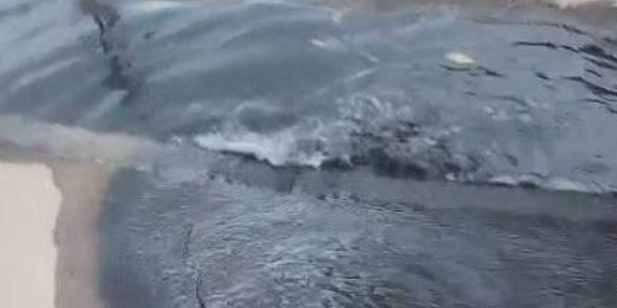 Esgoto na porta de casa causa mau cheiro e traz transtornos em Santos