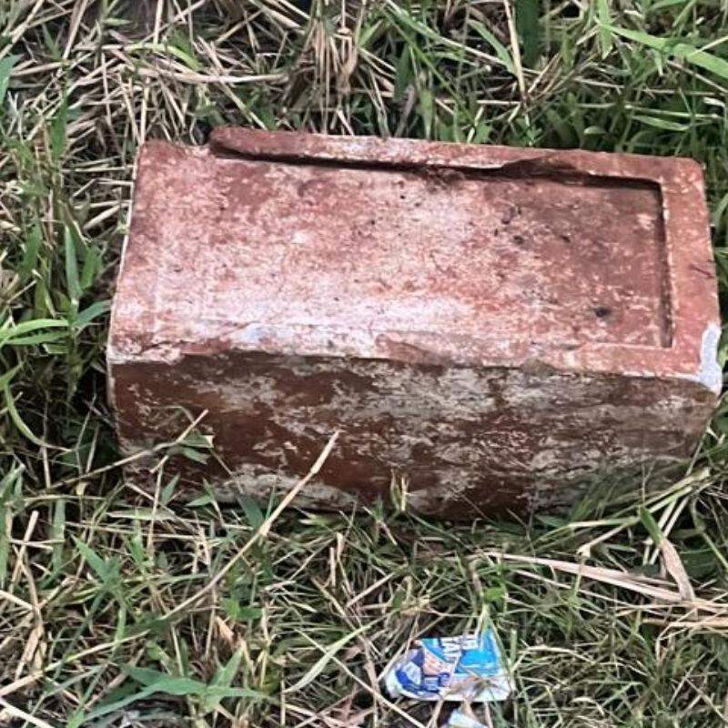 Ossada de bebê foi achada dentro de uma caixa de concreto em uma área de vegetação do Bairro Tropical