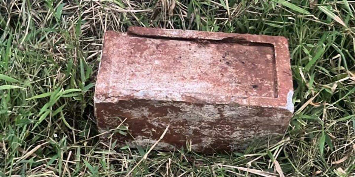 Ossada de bebê foi achada dentro de uma caixa de concreto em uma área de vegetação do Bairro Tropical