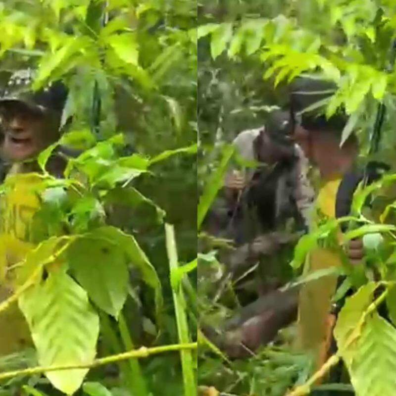 Idosos foram localizados após passarem a noite na mata