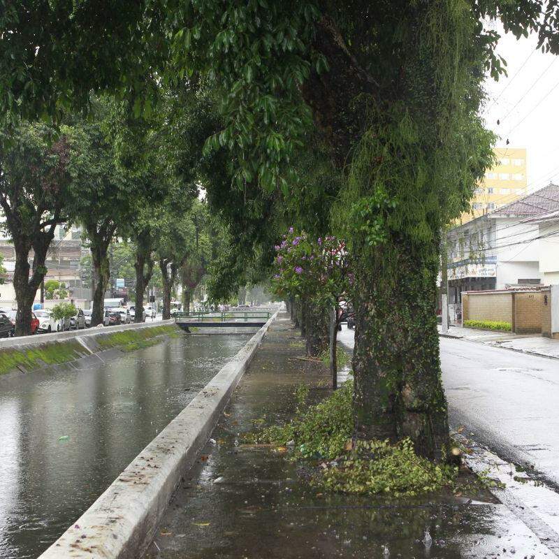 Jambolões, o dálmata e um pouso na Lua