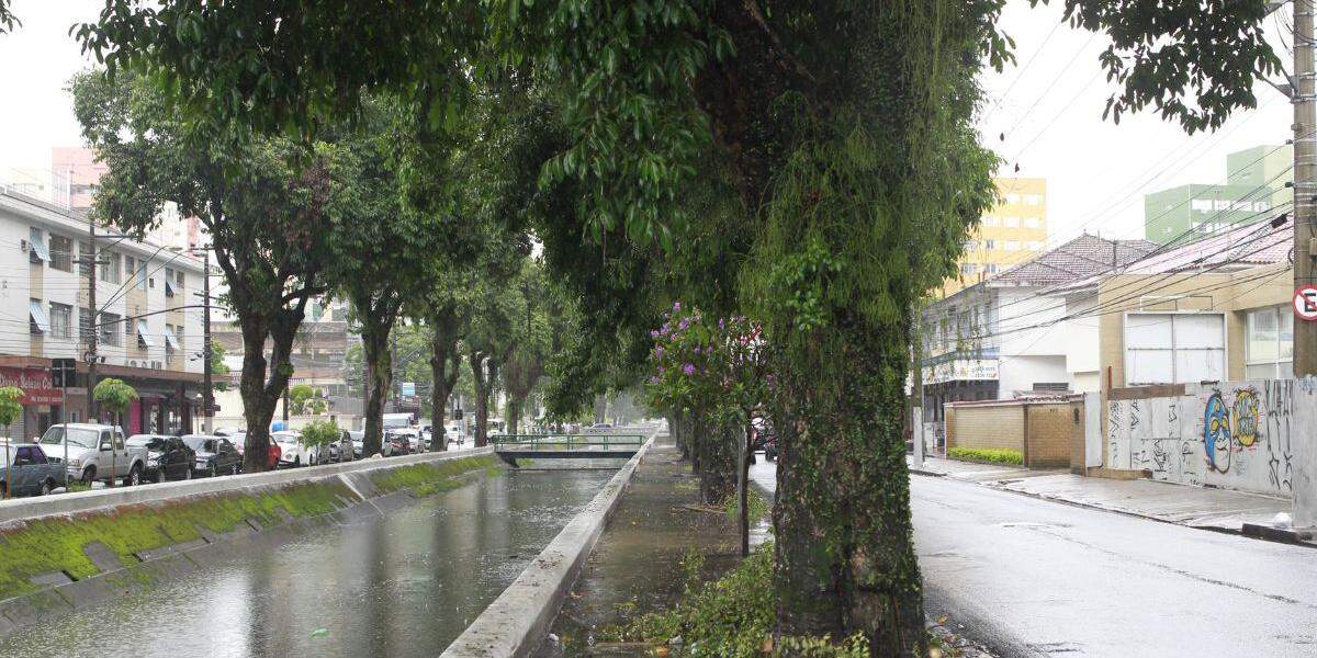 Jambolões, o dálmata e um pouso na Lua