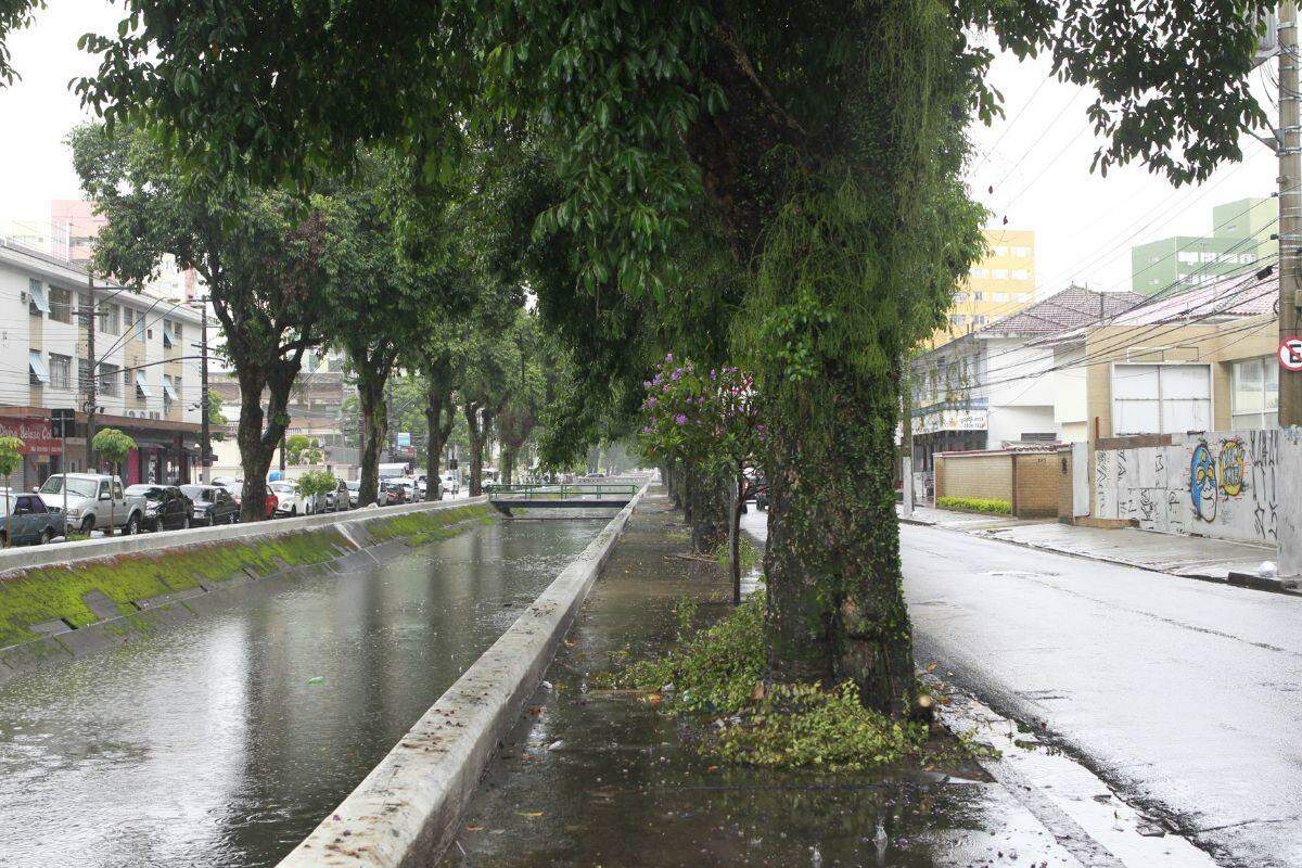 Jambolões, o dálmata e um pouso na Lua