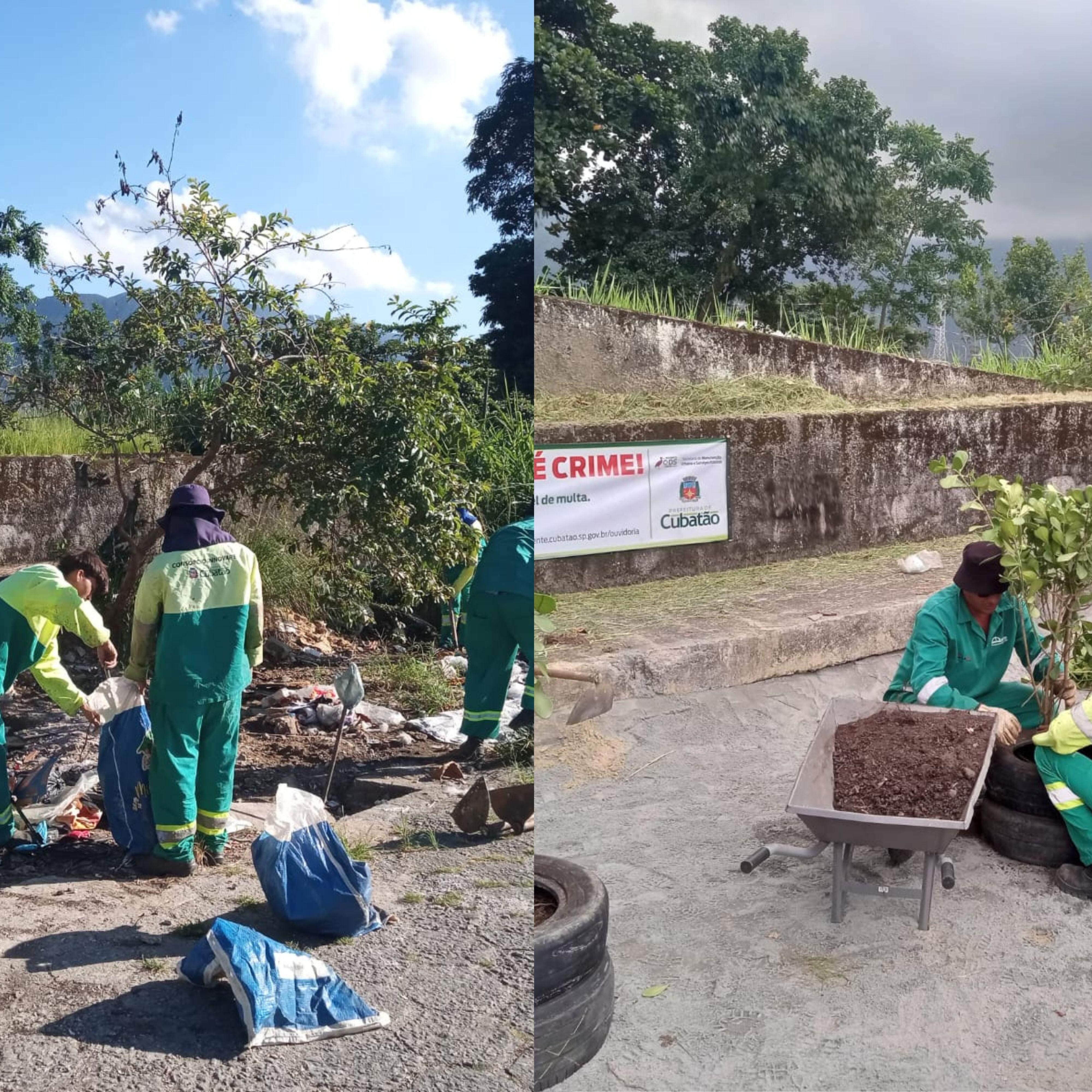 Agentes da Secretaria de Manutenção Urbana e Serviços Públicos limpam terrenos com resíduos e sinalizam esses lugares com faixas e plantas, para conscientização
