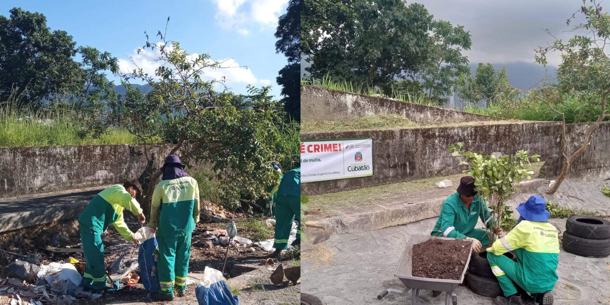 Agentes da Secretaria de Manutenção Urbana e Serviços Públicos limpam terrenos com resíduos e sinalizam esses lugares com faixas e plantas, para conscientização