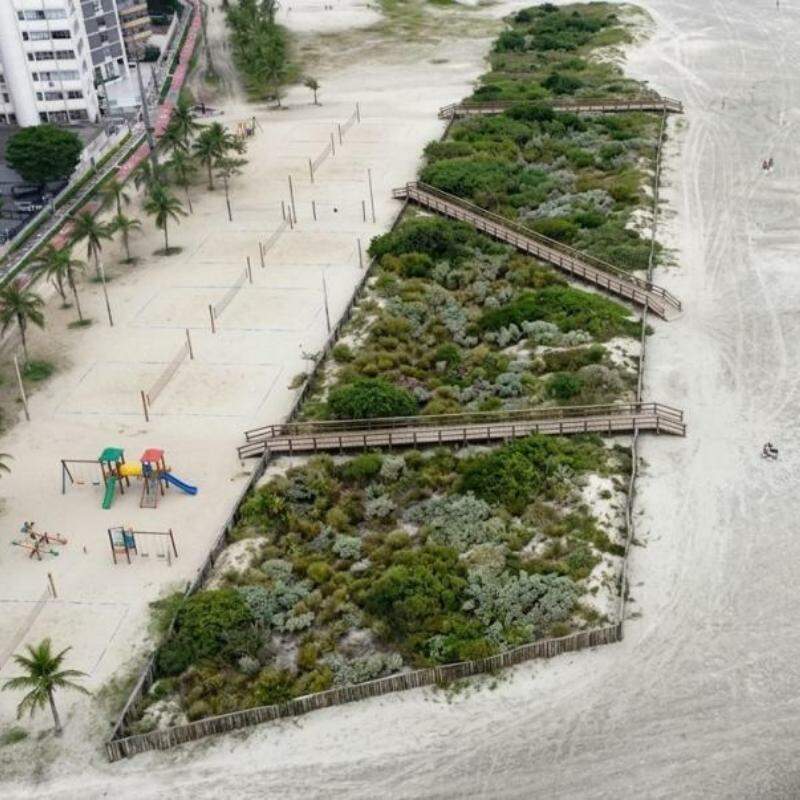 O novo parque na praia de Santos, após estudos de viabilidade, está na fase de retirada de espécies invasoras, limpeza de resíduos e mapeamento da área