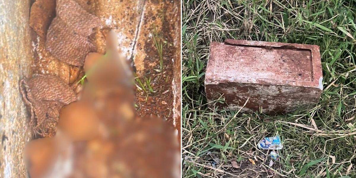 A caixa de concreto com a ossada de bebê foi achada em terreno de Itanhaém