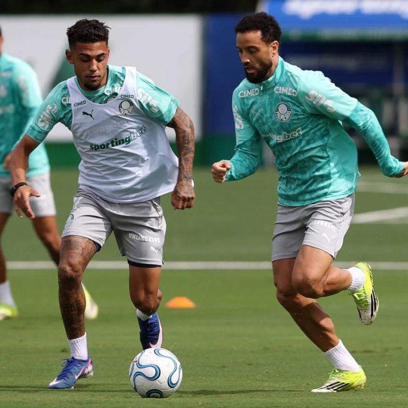 Palmeiras joga no Peru cobrado por melhor desempenho e na busca da liderança na Libertadores