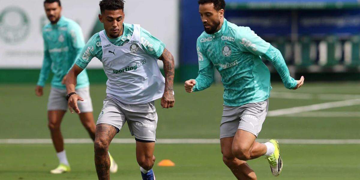 Palmeiras joga no Peru cobrado por melhor desempenho e na busca da liderança na Libertadores