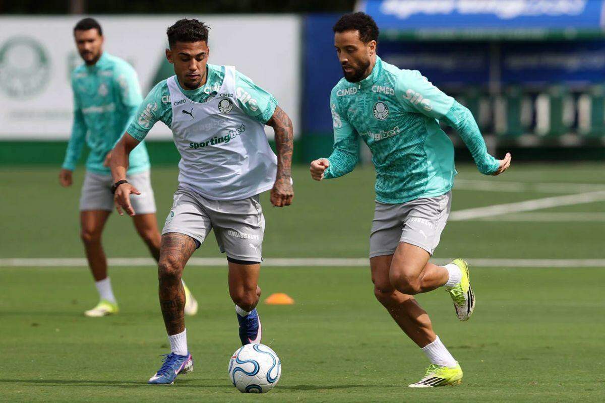 Palmeiras joga no Peru cobrado por melhor desempenho e na busca da liderança na Libertadores