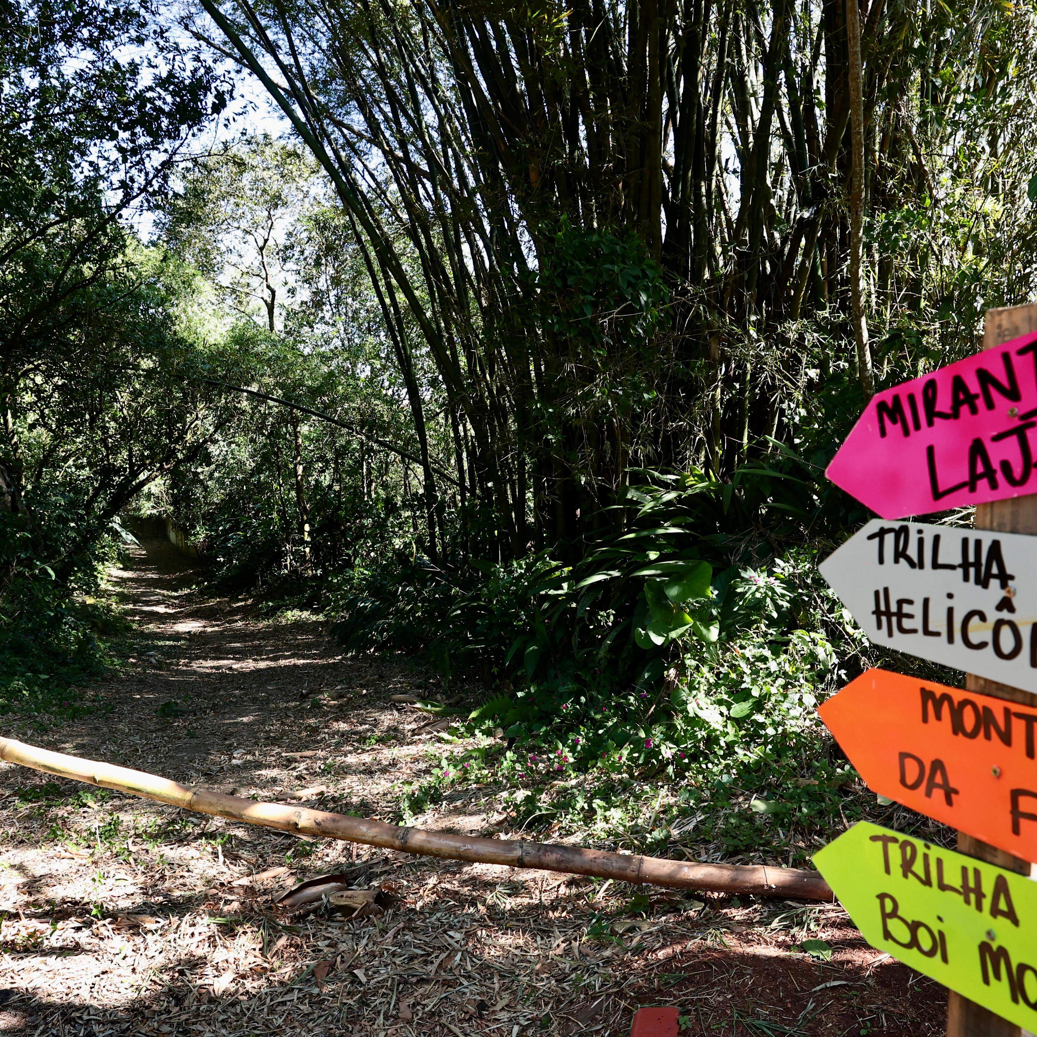 Parque dos Morros abrange áreas dos morros Caneleira, Nova Cintra, José Menino e chega até São Vicente