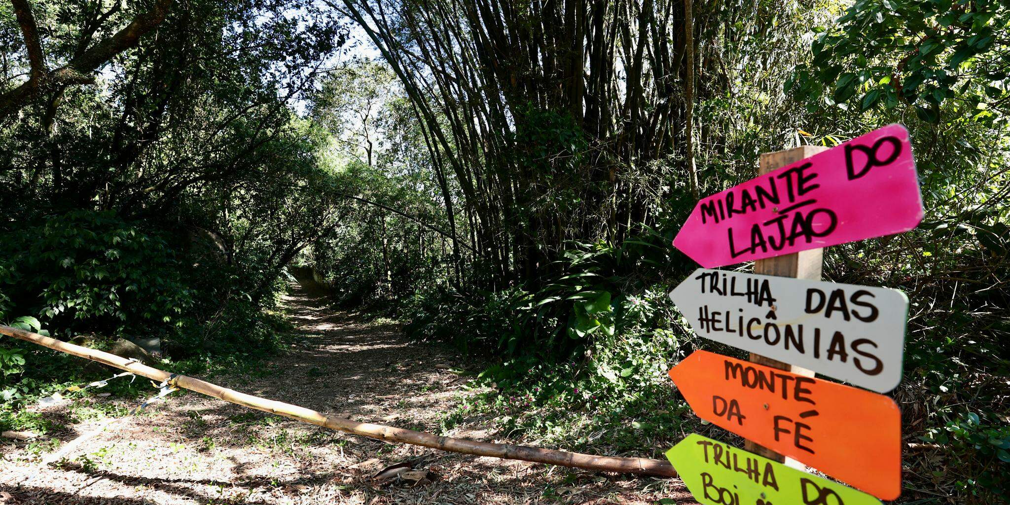 Parque dos Morros abrange áreas dos morros Caneleira, Nova Cintra, José Menino e chega até São Vicente