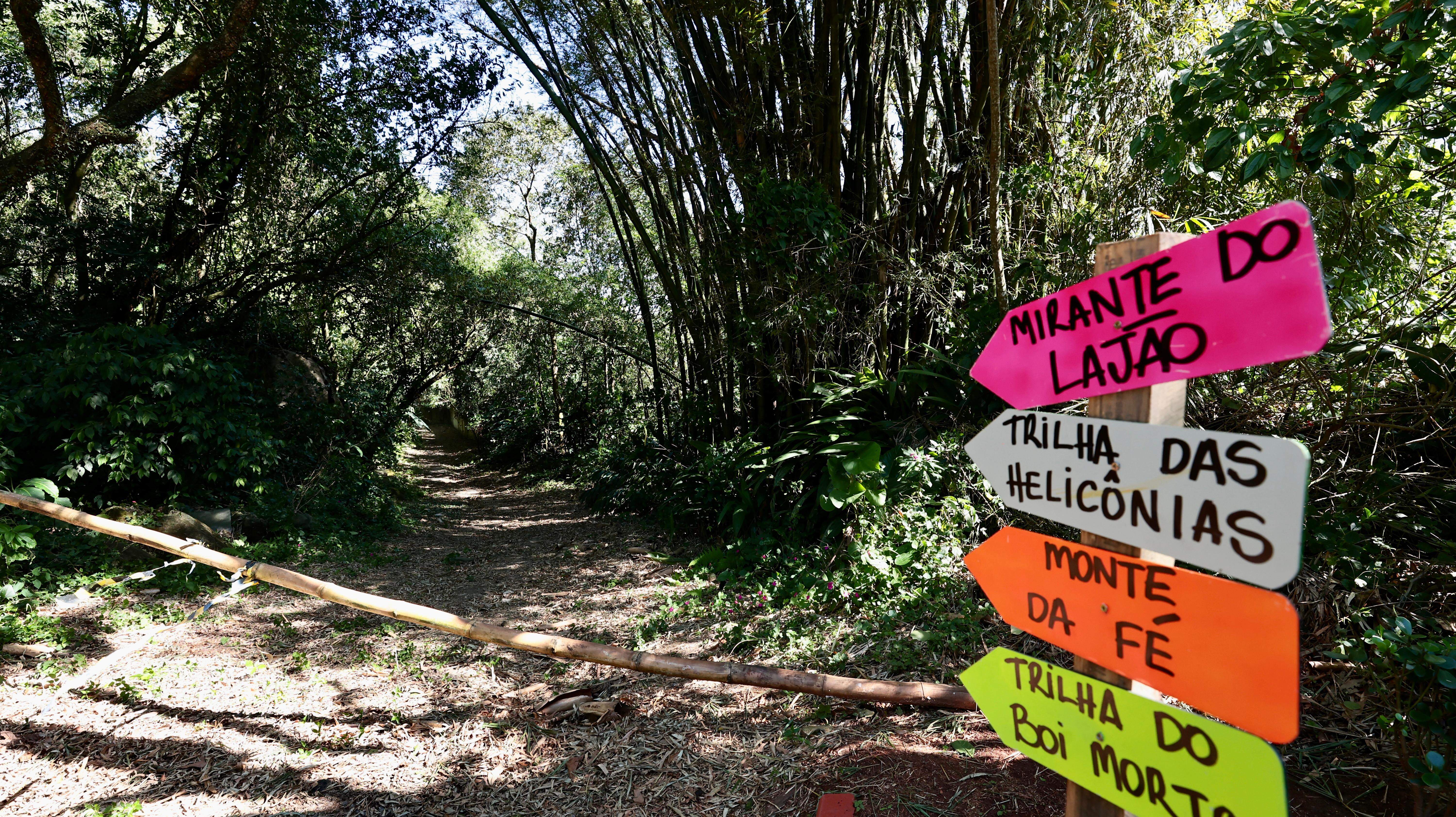 Parque dos Morros abrange áreas dos morros Caneleira, Nova Cintra, José Menino e chega até São Vicente