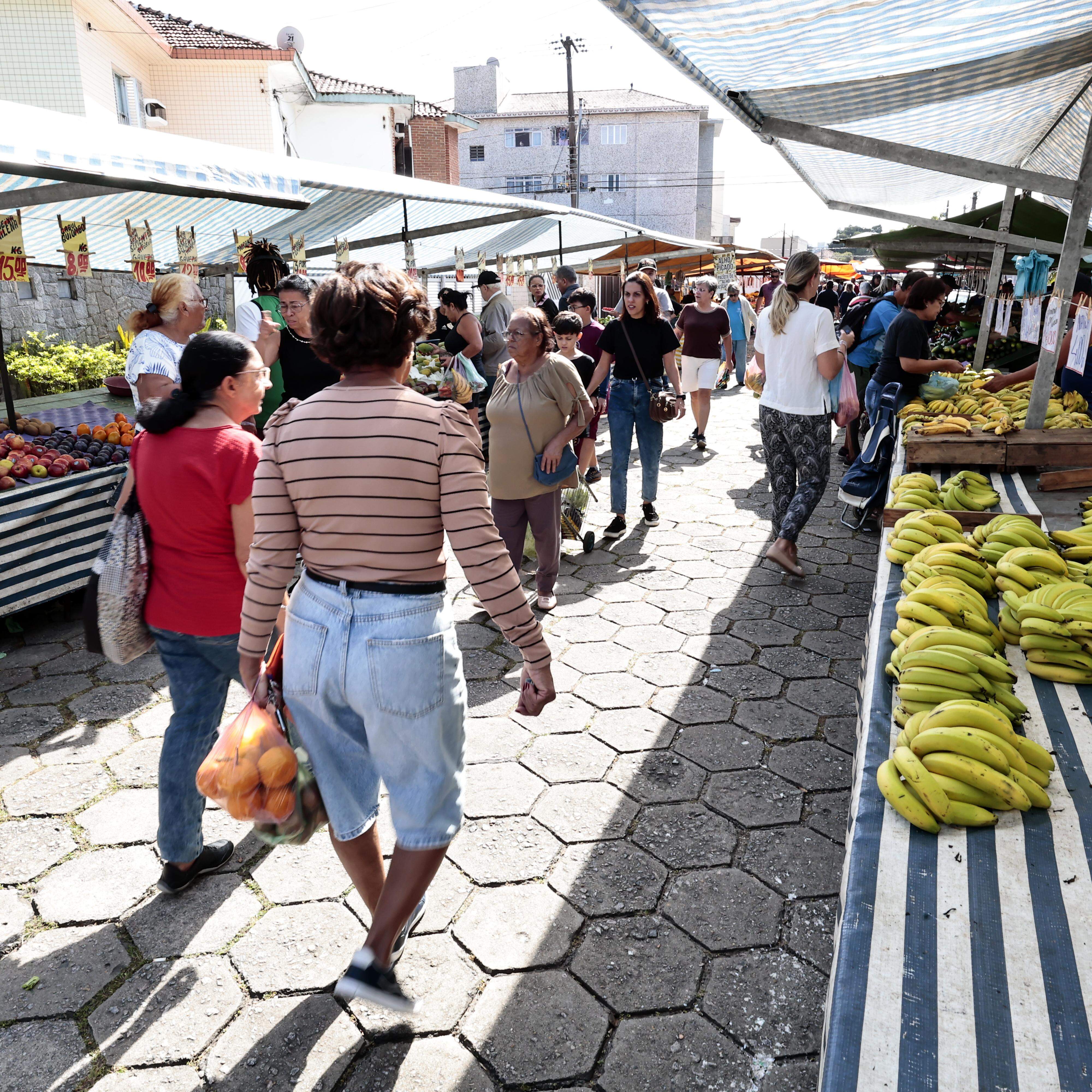 Questionário está em formulário on-line, disponível até 7 de junho