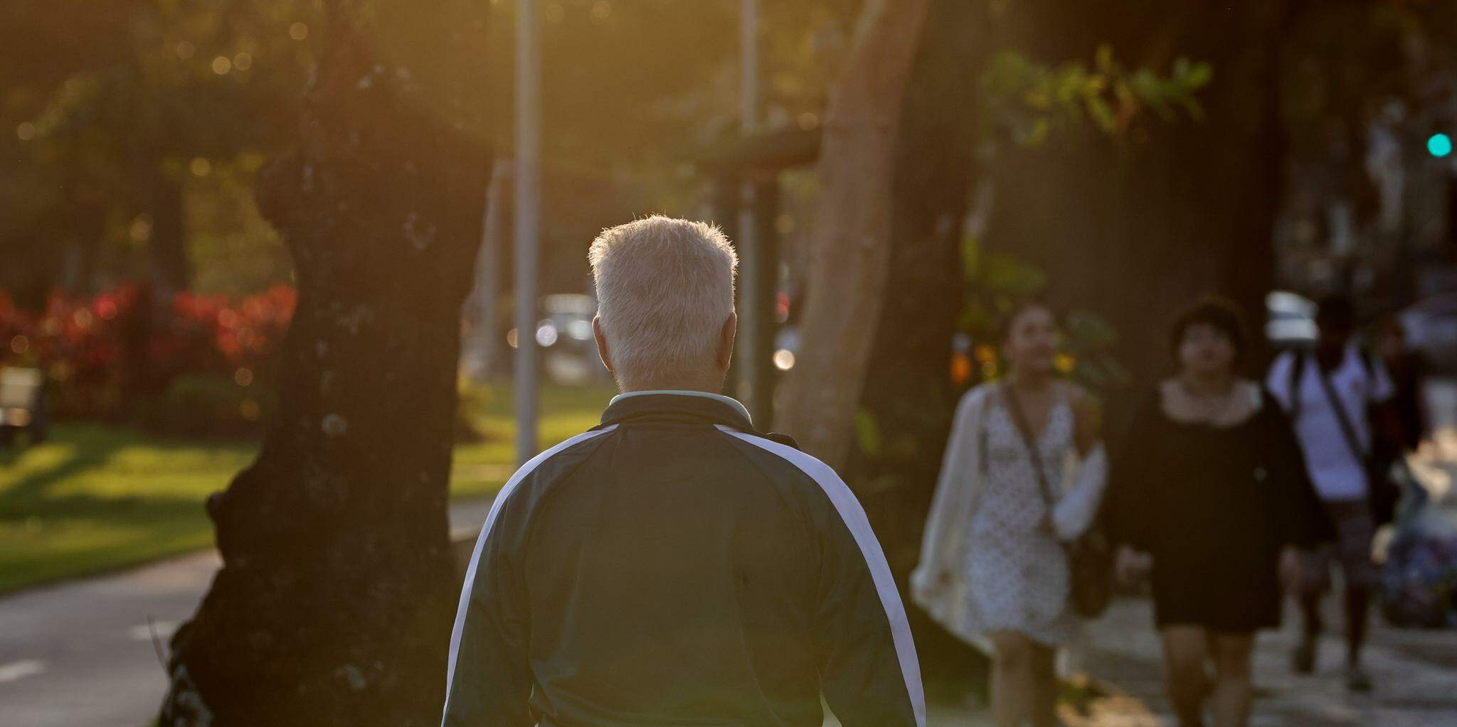 Estatísticas do Ministério da Saúde apontam que 25% dos idosos sofrem ao menos uma queda por ano