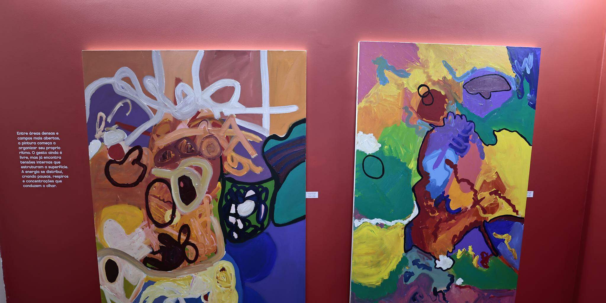 Segue em cartaz até 28 de junho a mostra Naji Ayoub e o Campo Vivo da Pintura, no Casarão Branco