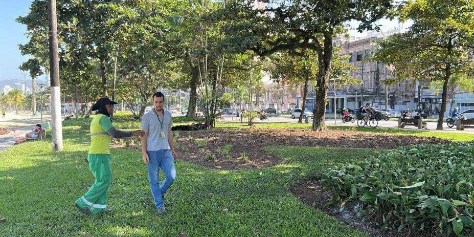Entre as intervenções realizadas no jardim da praia de Santos estão a limpeza dos canteiros, poda de vegetação, requalificação paisagística e reorganização das áreas verdes