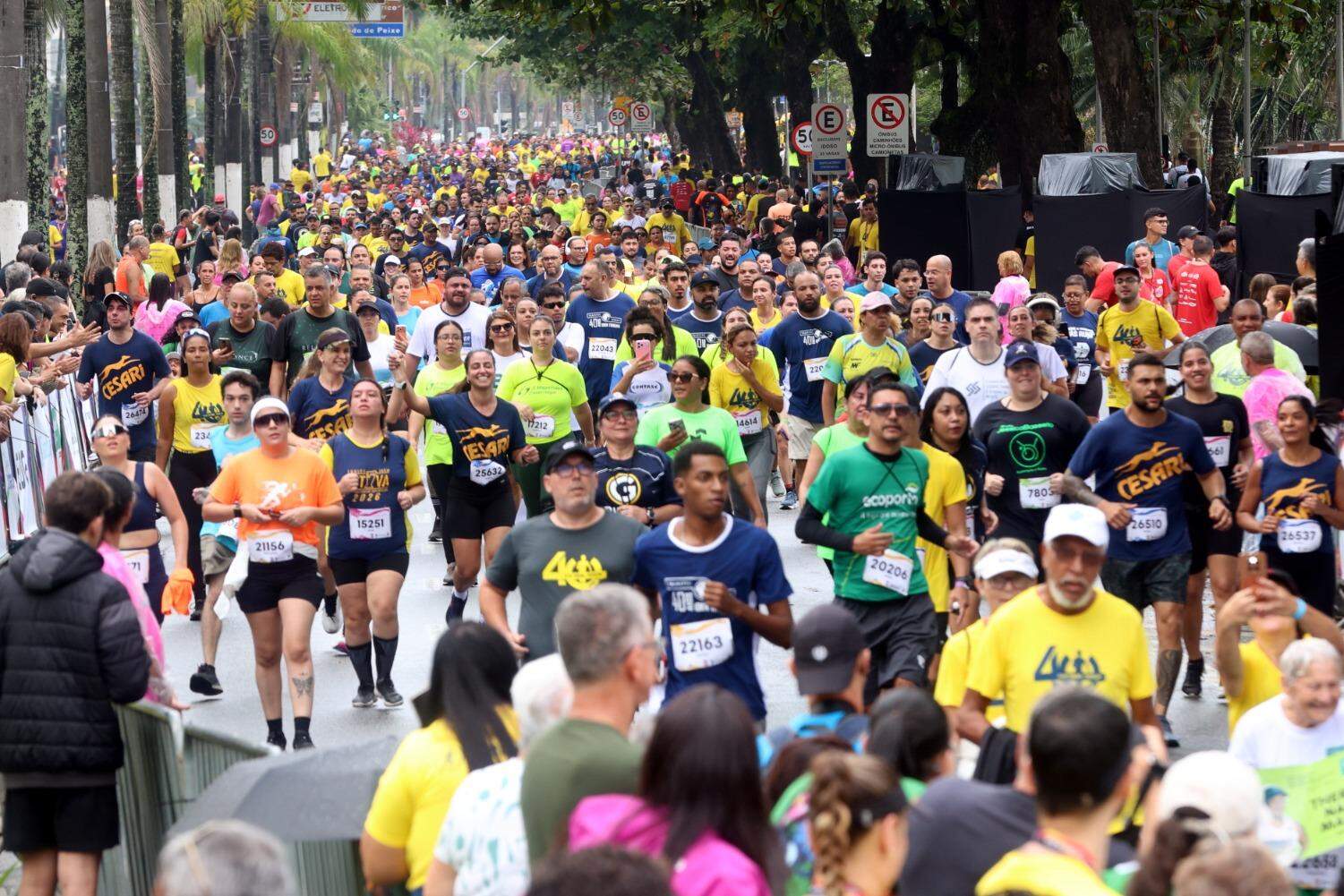 A 40ª edição dos 10 KM Tribuna - Terracom movimentou as ruas de Santos