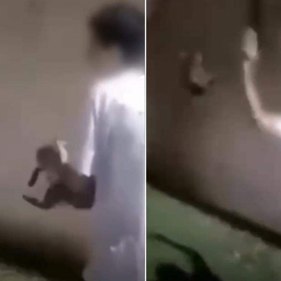 Polícia Civil investiga maus-tratos após gato ser jogado em canal de Praia Grande