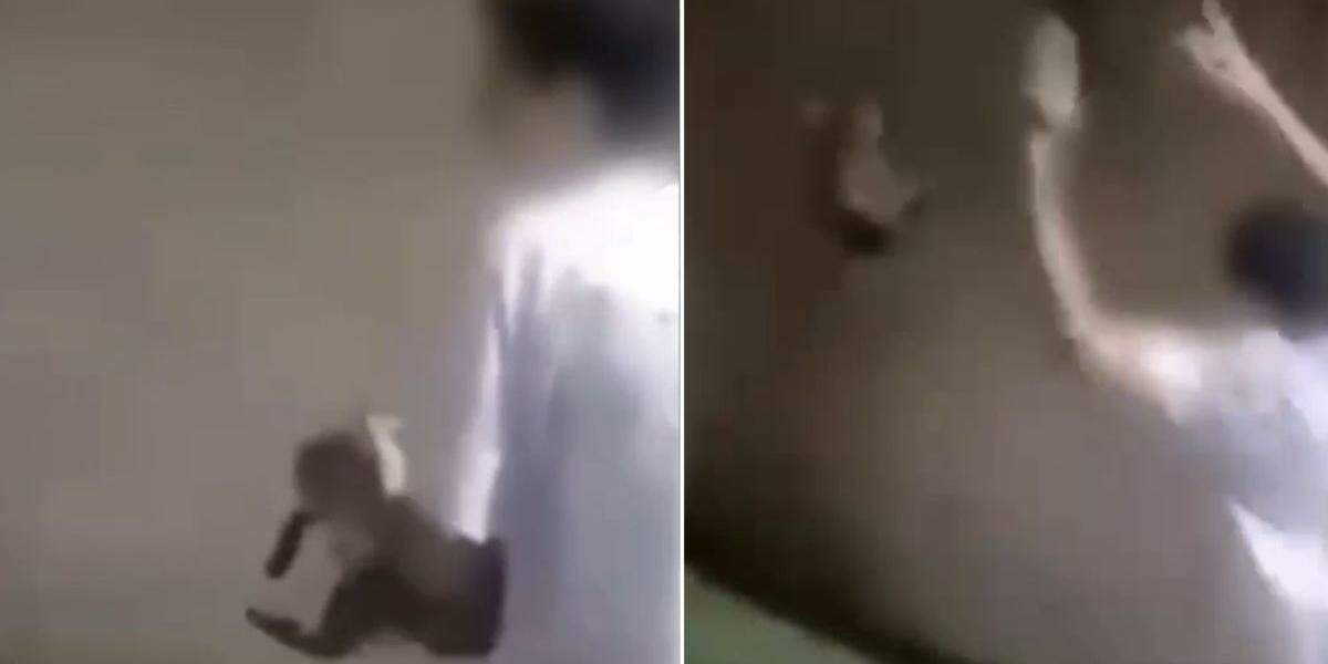 Polícia Civil investiga maus-tratos após gato ser jogado em canal de Praia Grande