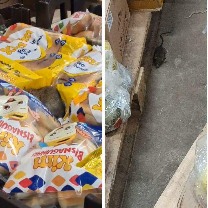 Ratos estão sendo vistos com frequência no Tenda Atacado de Praia Grande