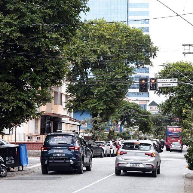 Padrão urbano da alameda seguirá o de vias como Azevedo Sodré, diz Prefeitura; custeio será privado