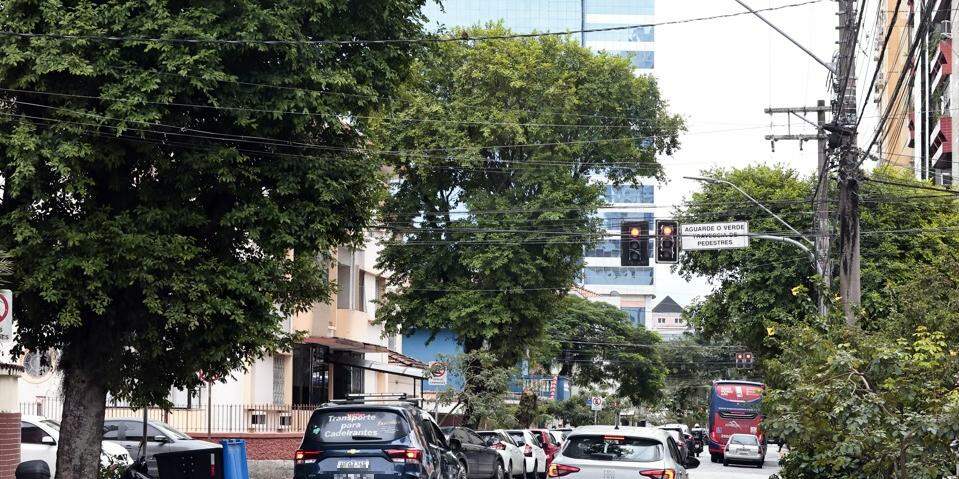 Padrão urbano da alameda seguirá o de vias como Azevedo Sodré, diz Prefeitura; custeio será privado