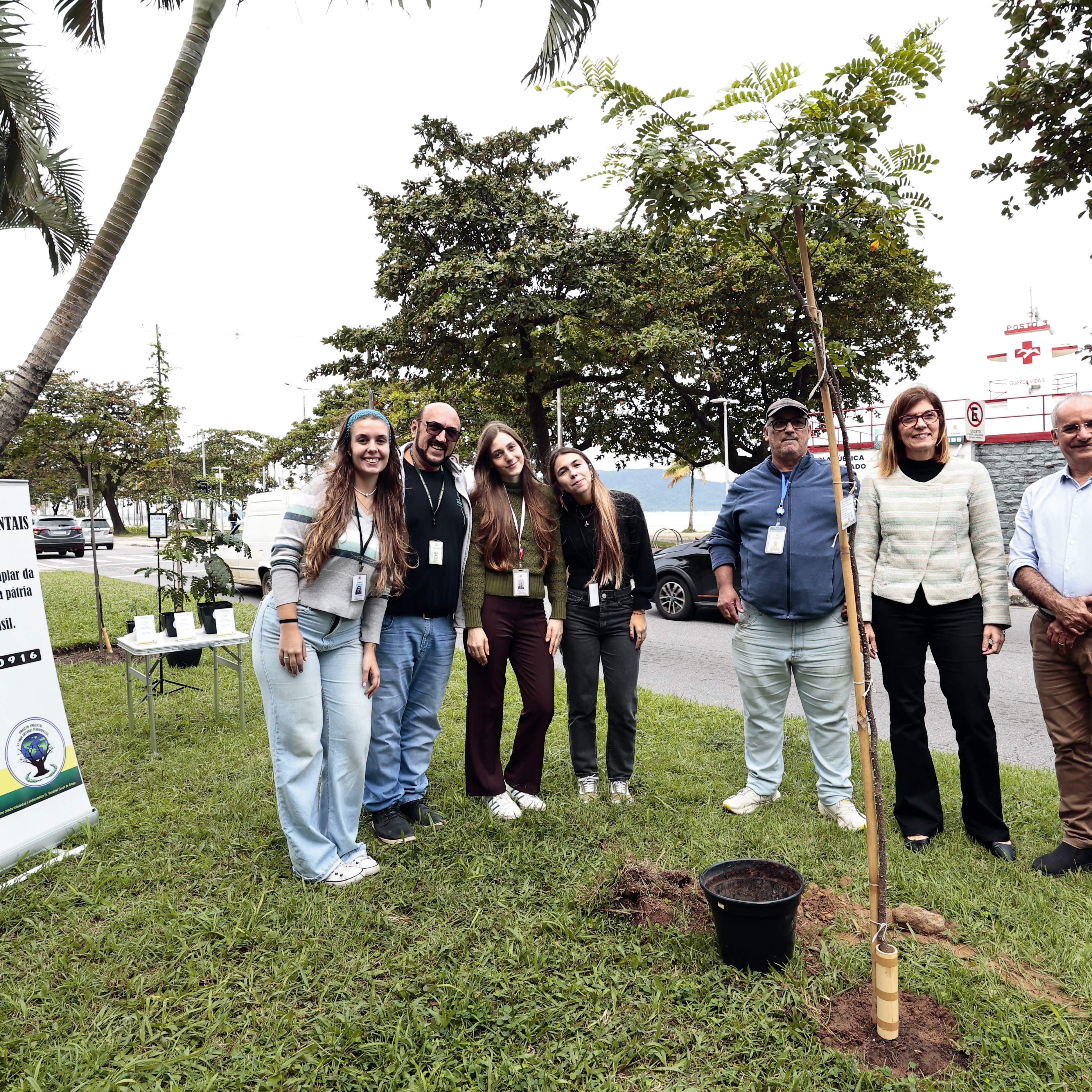 O plantio ocorreu no canteiro central da Avenida Presidente Wilson, no Gonzaga, ao lado das árvores cultivadas em 2023, 2024 e 2025