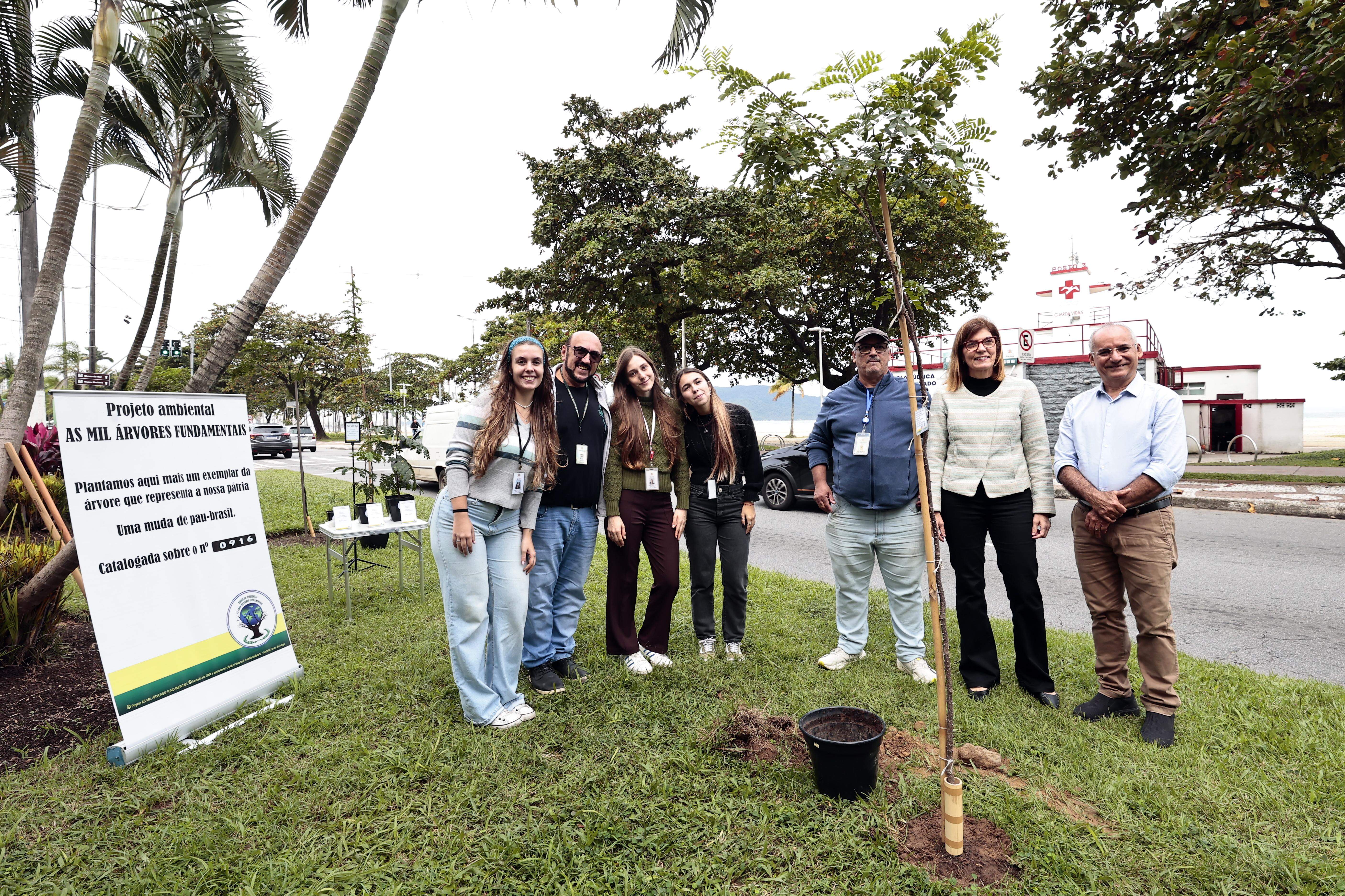 O plantio ocorreu no canteiro central da Avenida Presidente Wilson, no Gonzaga, ao lado das árvores cultivadas em 2023, 2024 e 2025