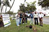 O plantio ocorreu no canteiro central da Avenida Presidente Wilson, no Gonzaga, ao lado das árvores cultivadas em 2023, 2024 e 2025