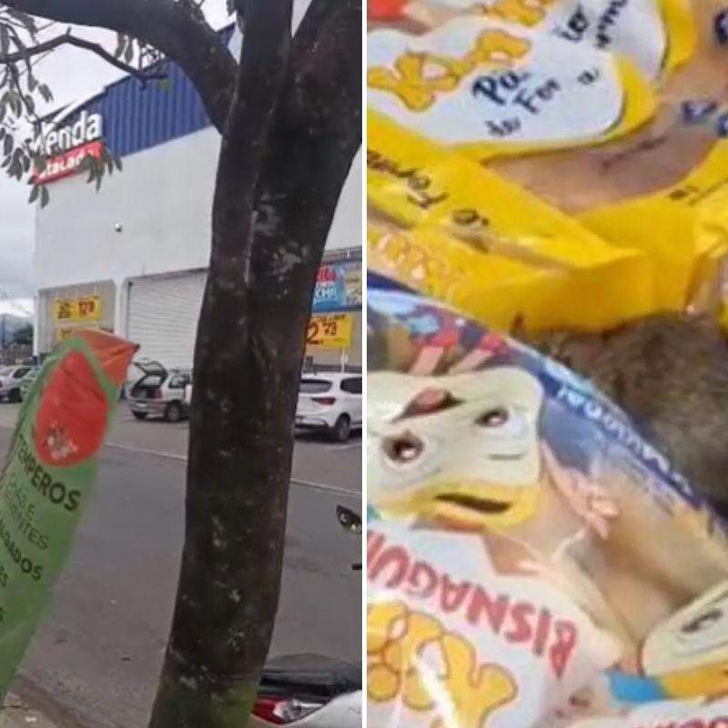 Unidade de Praia Grande do Tenda Atacado foi interditada pela Prefeitura após ratos serem encontrados no local
