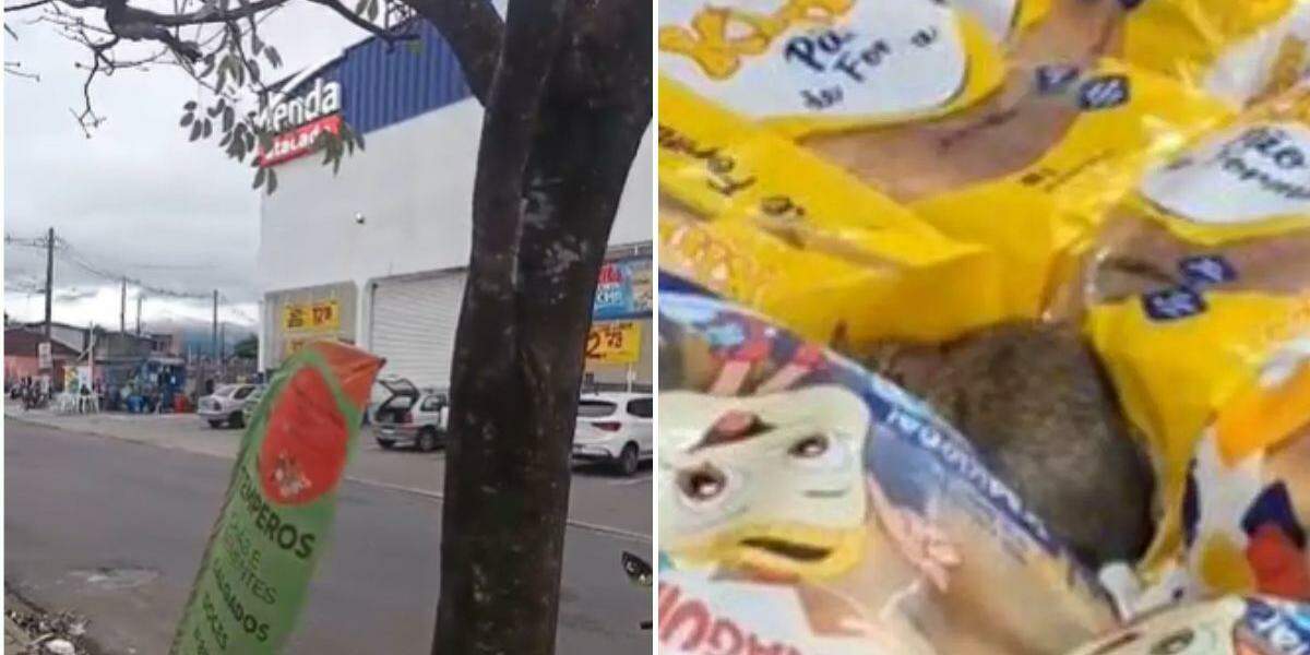 Unidade de Praia Grande do Tenda Atacado foi interditada pela Prefeitura após ratos serem encontrados no local