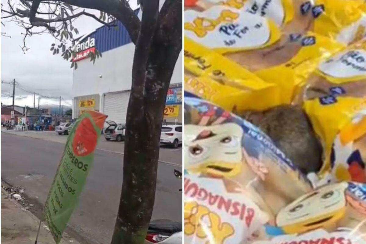 Unidade de Praia Grande do Tenda Atacado foi interditada pela Prefeitura após ratos serem encontrados no local