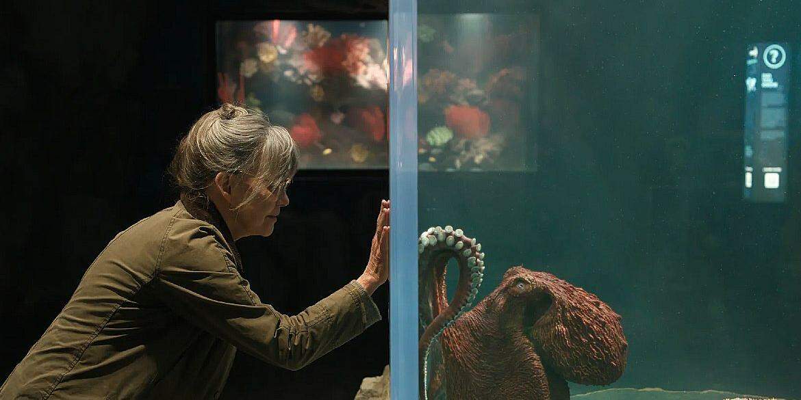 Criaturas Extraordinariamente Brilhantes: filme aborda conexão e amor