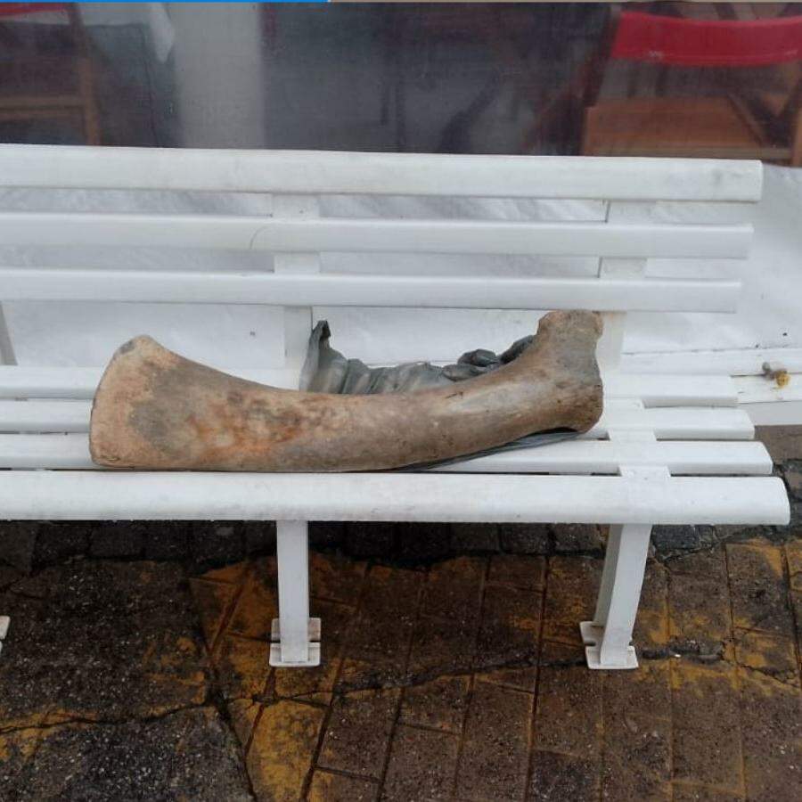O osso gigante apareceu na Praia da Enseada, em Guarujá