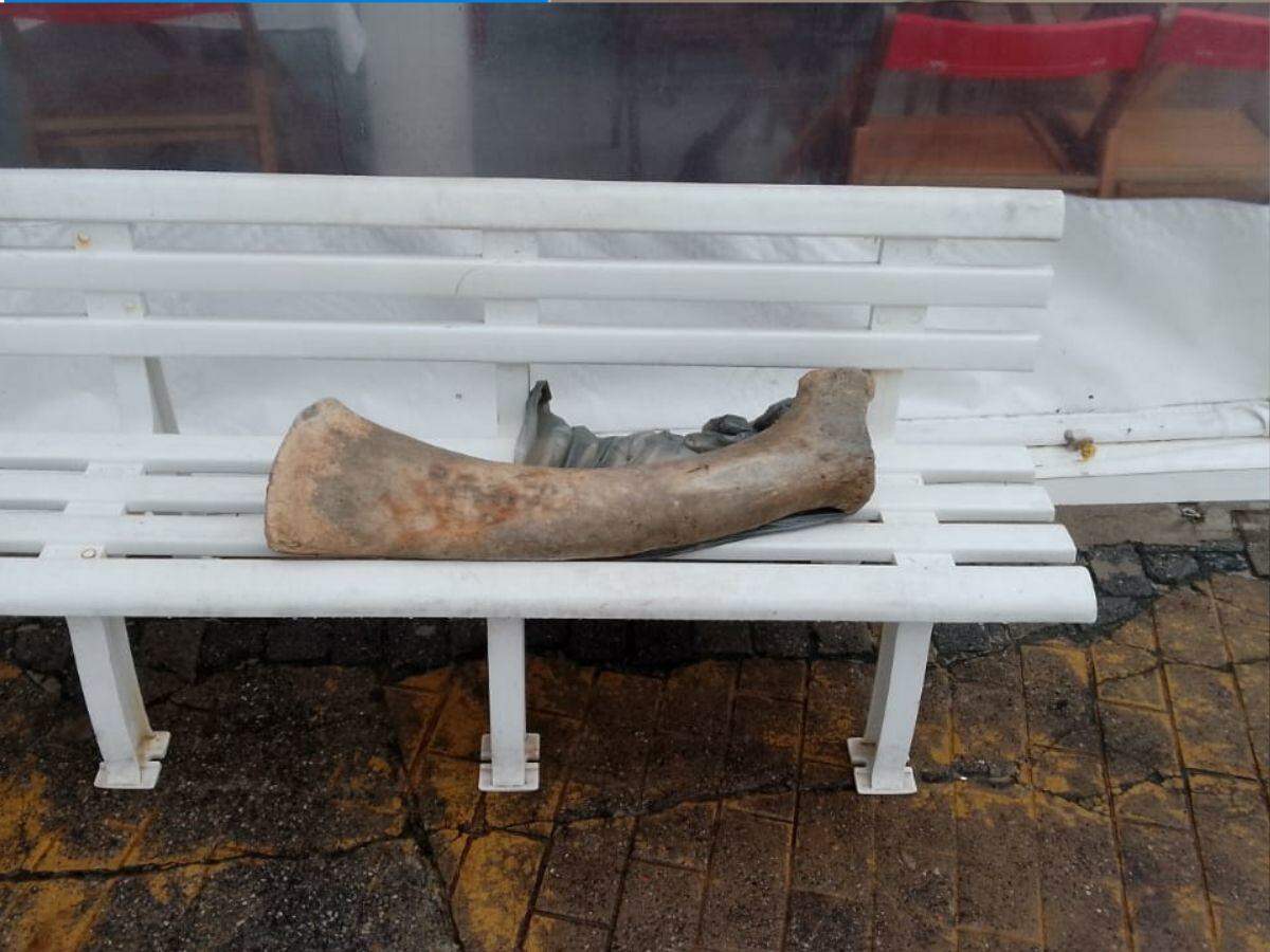 O osso gigante apareceu na Praia da Enseada, em Guarujá