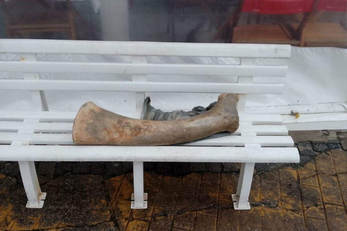 O osso gigante apareceu na Praia da Enseada, em Guarujá