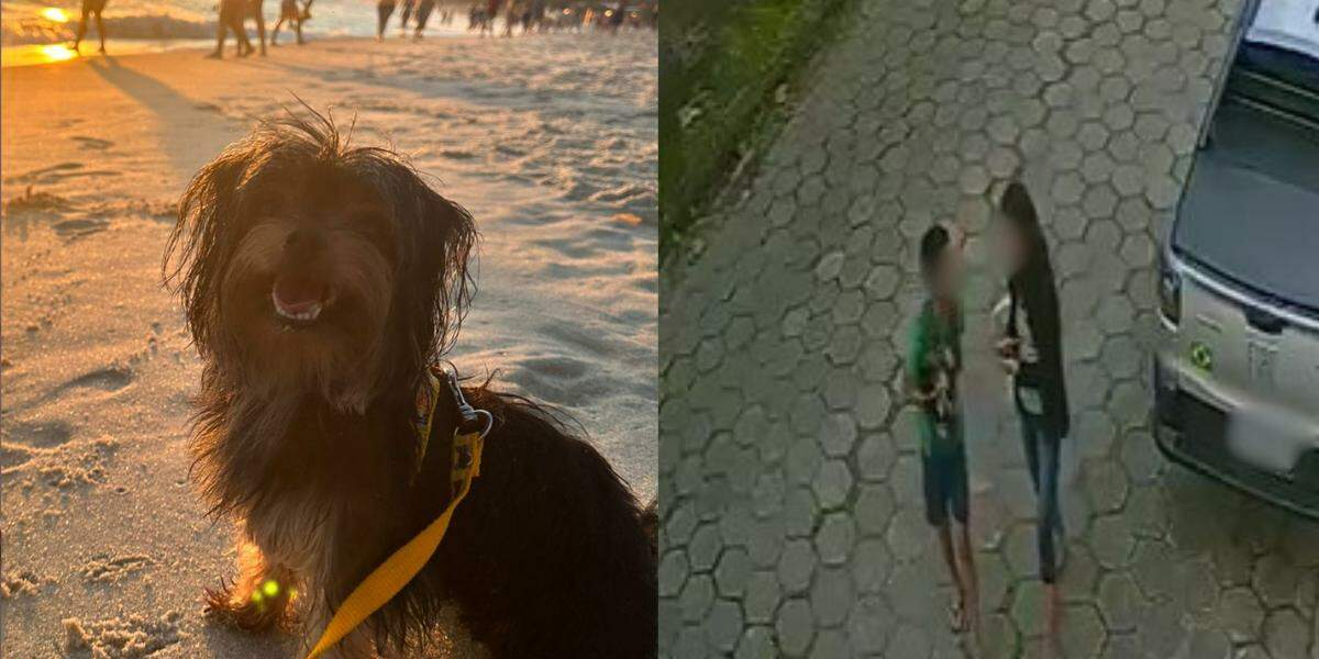 Paçoca foi levado pela mulher e criança