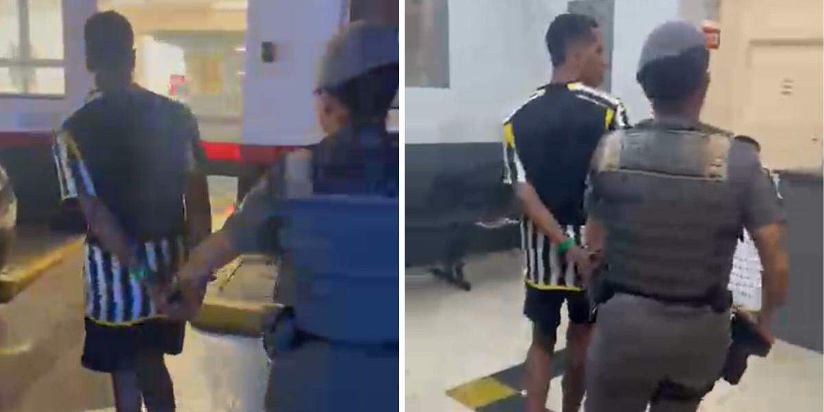Agressor foi detido e encaminhado à Central de Polícia Judiciária (CPJ) de Santos