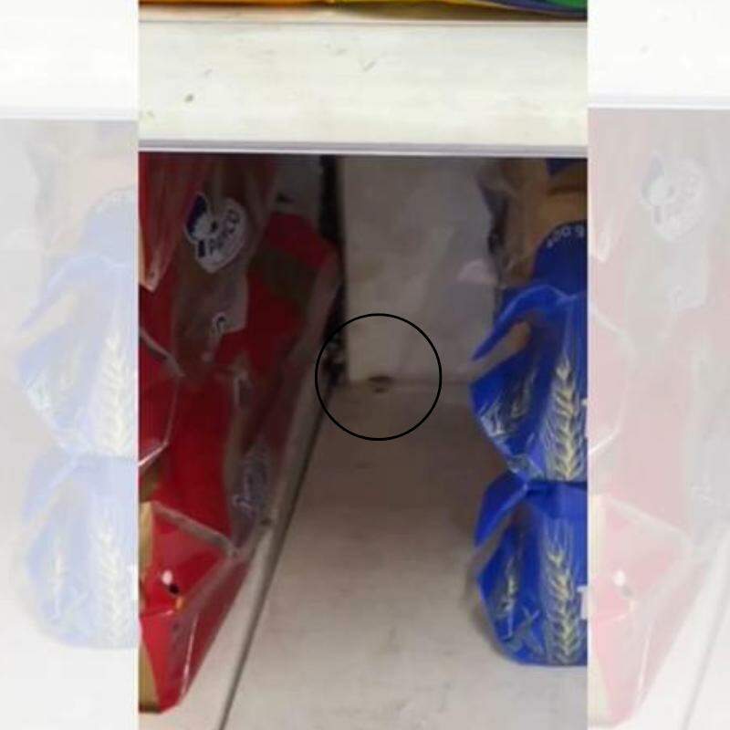 Cliente encontrou baratas andando entre os pães e cebolas de Extra da Ponta da Praia, em Santos