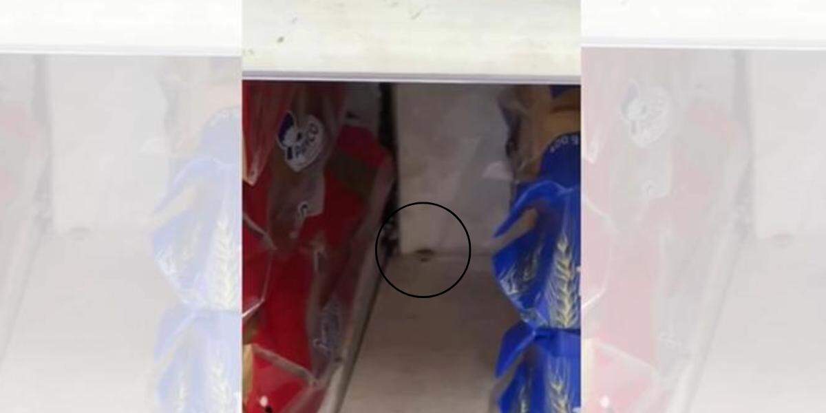 Cliente encontrou baratas andando entre os pães e cebolas de Extra da Ponta da Praia, em Santos